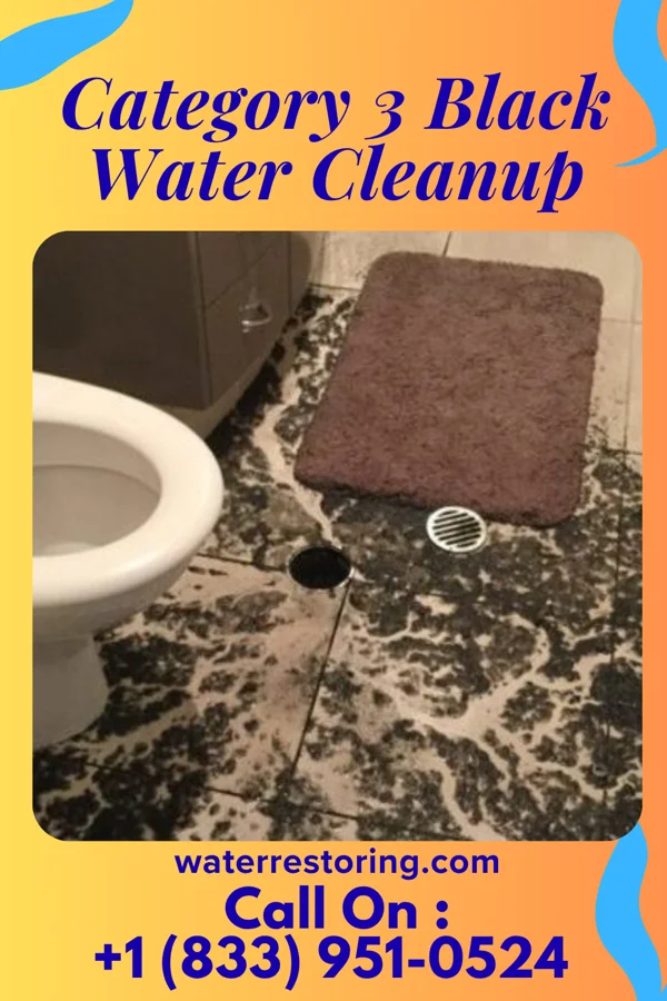 Category 3 Black Water Cleanup in Shenandoah Farms, VA