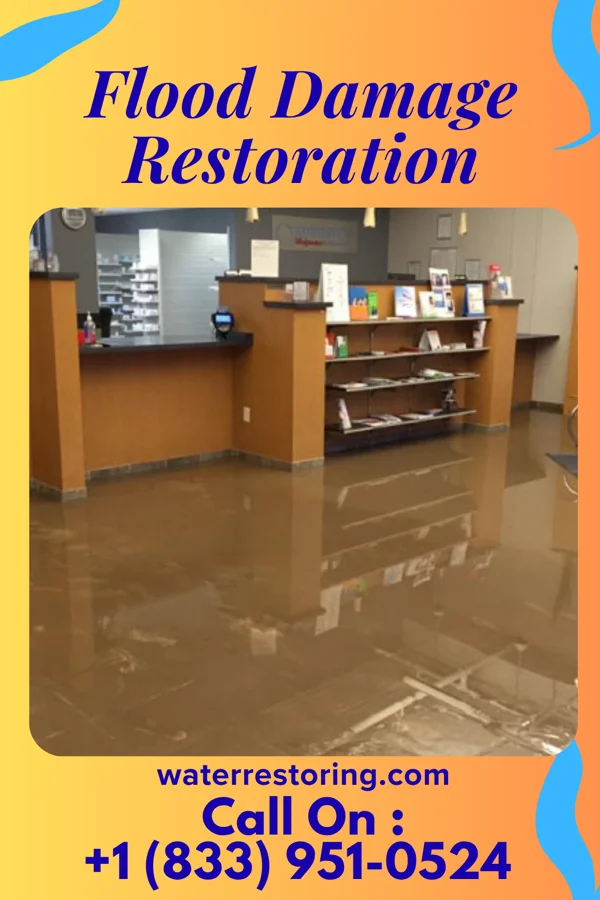 Flood Damage Restoration in Shenandoah Farms, VA