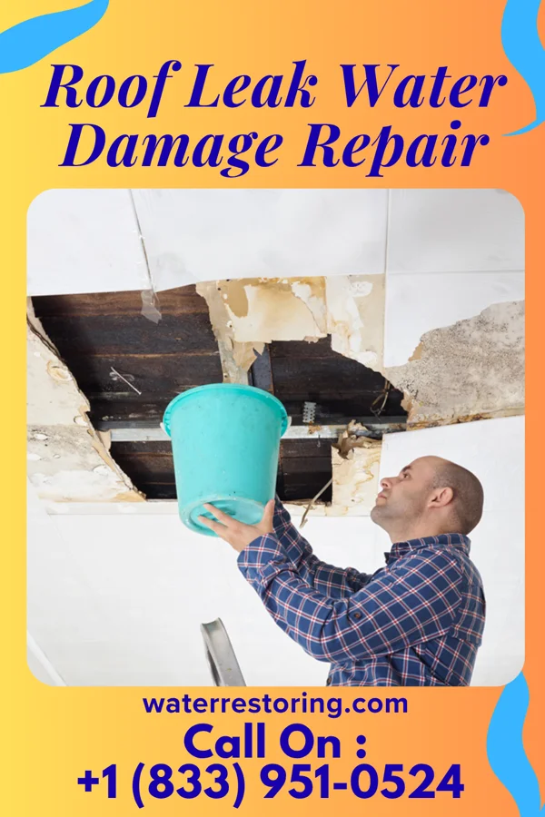 Roof Leak Water Damage Repair in Shenandoah Farms, VA