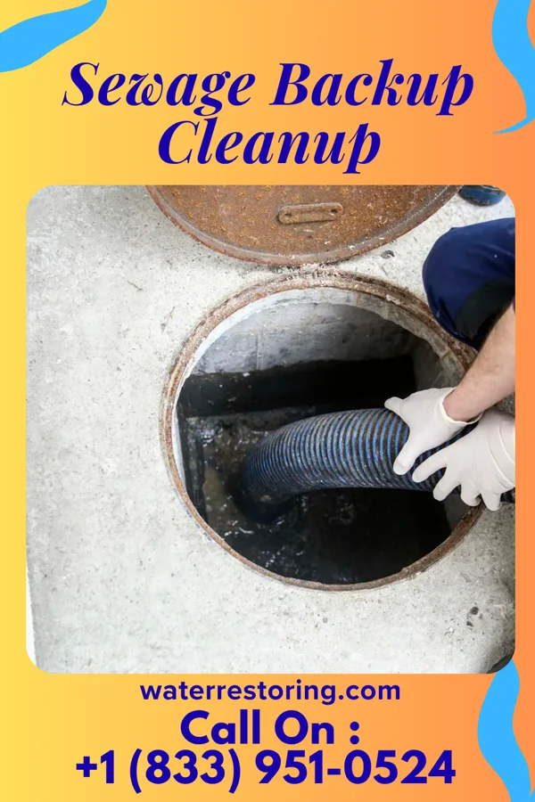Sewage Backup Cleanup in Shenandoah Farms, VA