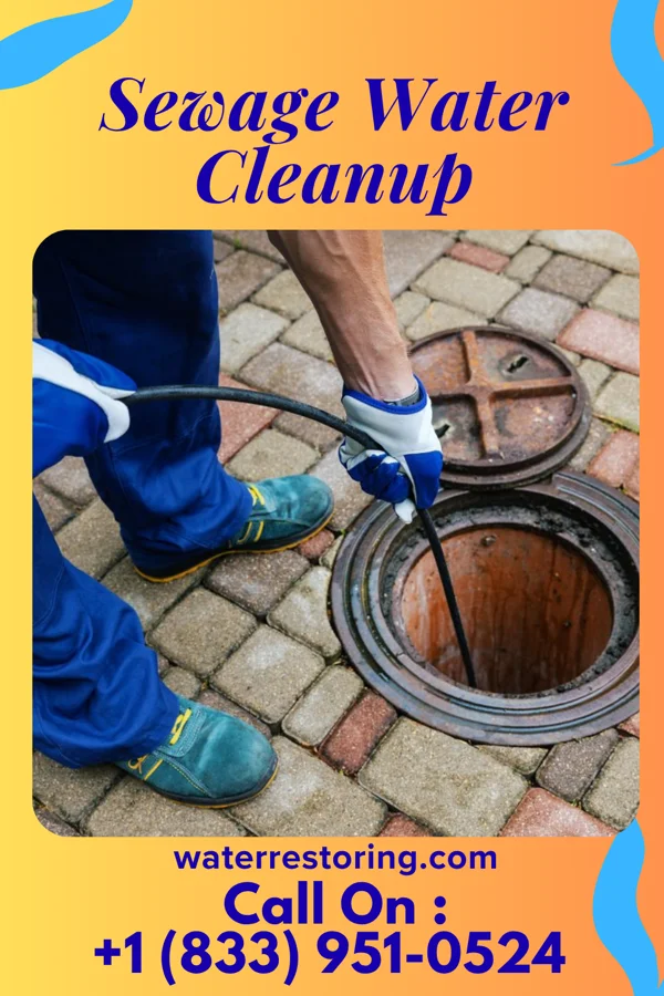 Sewage Water Cleanup in Shenandoah Farms, VA